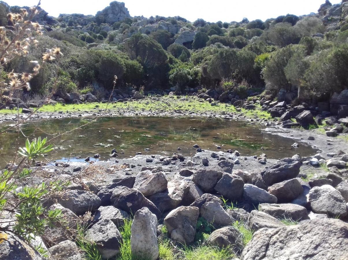 B & B Il Mirto 2 SantʼAntìoco Εξωτερικό φωτογραφία