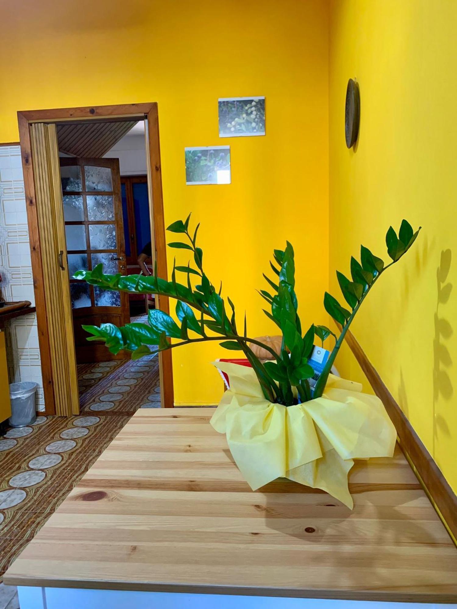 B & B Il Mirto 2 SantʼAntìoco Εξωτερικό φωτογραφία